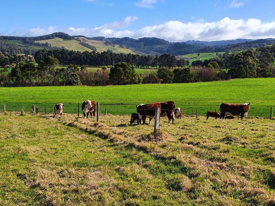 Handsome Hills Dairy Retreat Won Wron Buitenkant foto