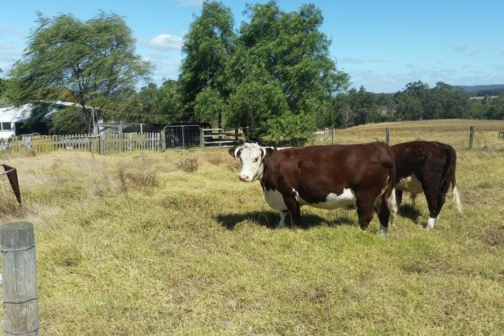 Handsome Hills Dairy Retreat Won Wron Buitenkant foto